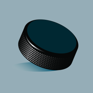 hockey puck